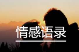 婚姻调查取证